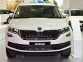 zdjęcie Kodiaq