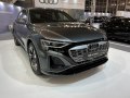 zdjęcie Q8 e-tron