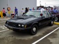zdjęcie Mustang