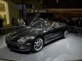 Mercedes-Benz SLR McLaren SLR McLaren (R199) Roadster — 16