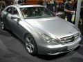 zdjęcie CLS