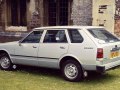 Cherry Traveller (VN10)