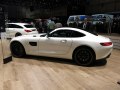 zdjęcie AMG GT