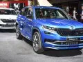 Skoda Kodiaq Kodiaq I — 14