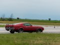 zdjęcie Mustang