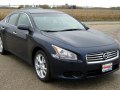 Maxima VII (A35)