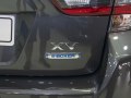 zdjęcie XV
