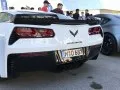 Chevrolet Corvette Corvette Targa (C7) — 12