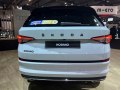 zdjęcie Kodiaq