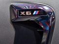 zdjęcie X6 M