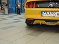 zdjęcie Mustang