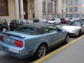 zdjęcie Mustang