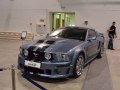 zdjęcie Mustang