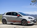 Punto Evo (199)