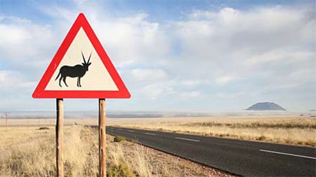 Indicator rutier atenţie orycşi - în Africa de Sud