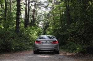 silver suv on forest during daytime